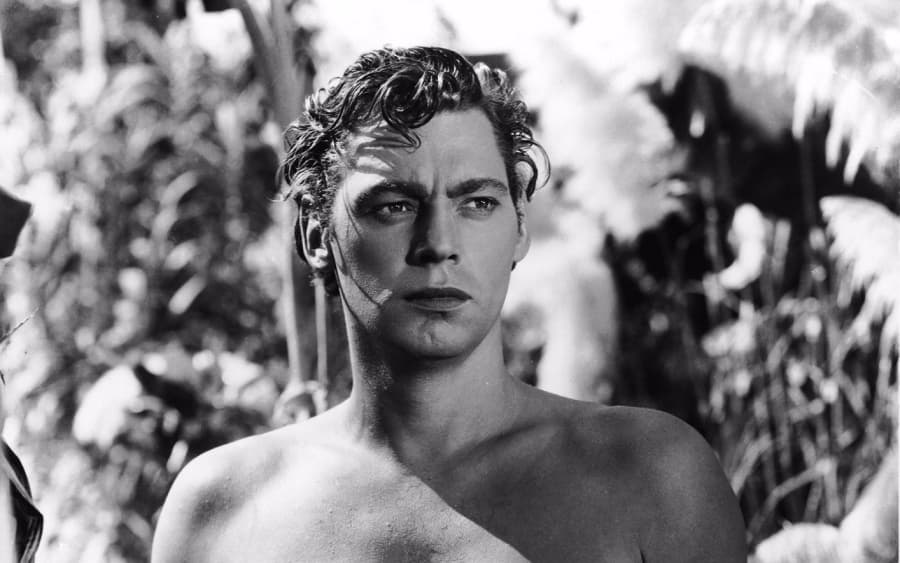 Romania’s Timisoara wants to use Tarzan for promotion