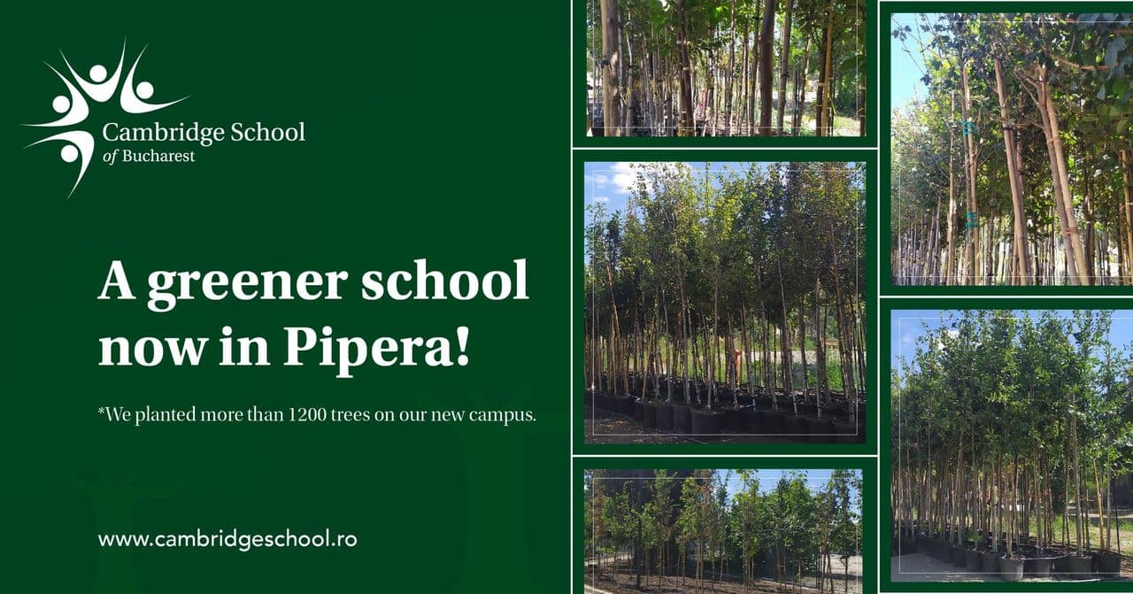 (P) Cambridge School of Bucharest: A Green Education in the Twenty-First Century
