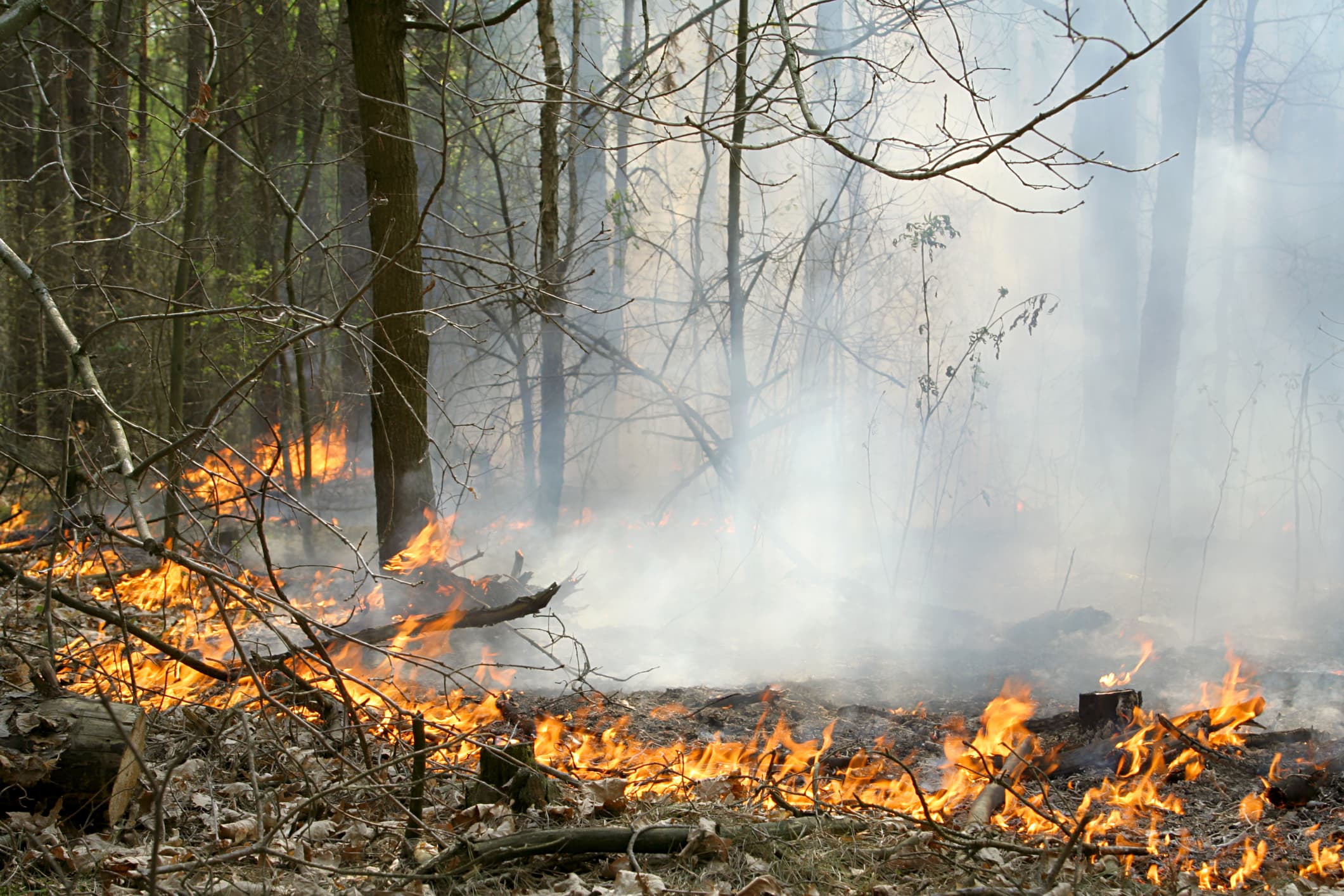 Fire breaks out in southeastern Romania after alleged drone explosion