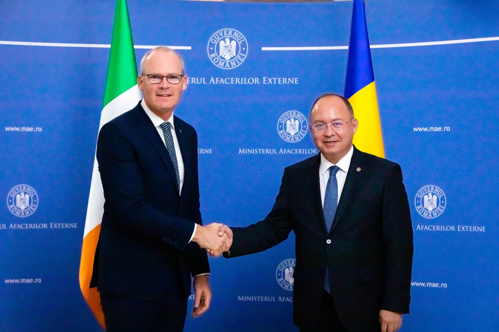 Romanians make up third largest expat group in Ireland, minister says