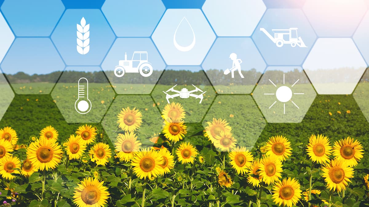 AgriStart launches in Romania to support early-stage agrifood startups