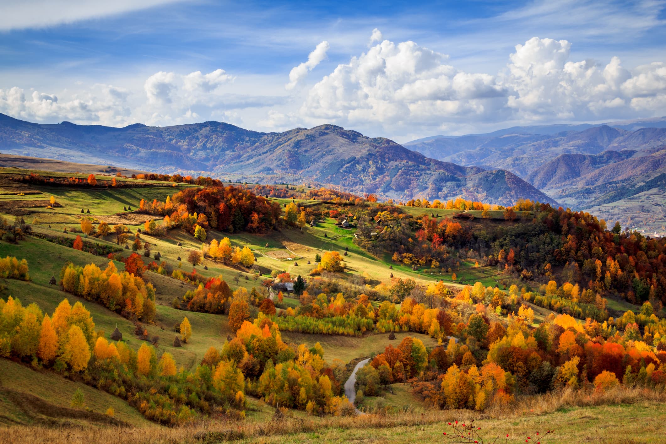 Romania Photo of the Day by Dreamstime: Bedeleu Mountains in autumn colors
