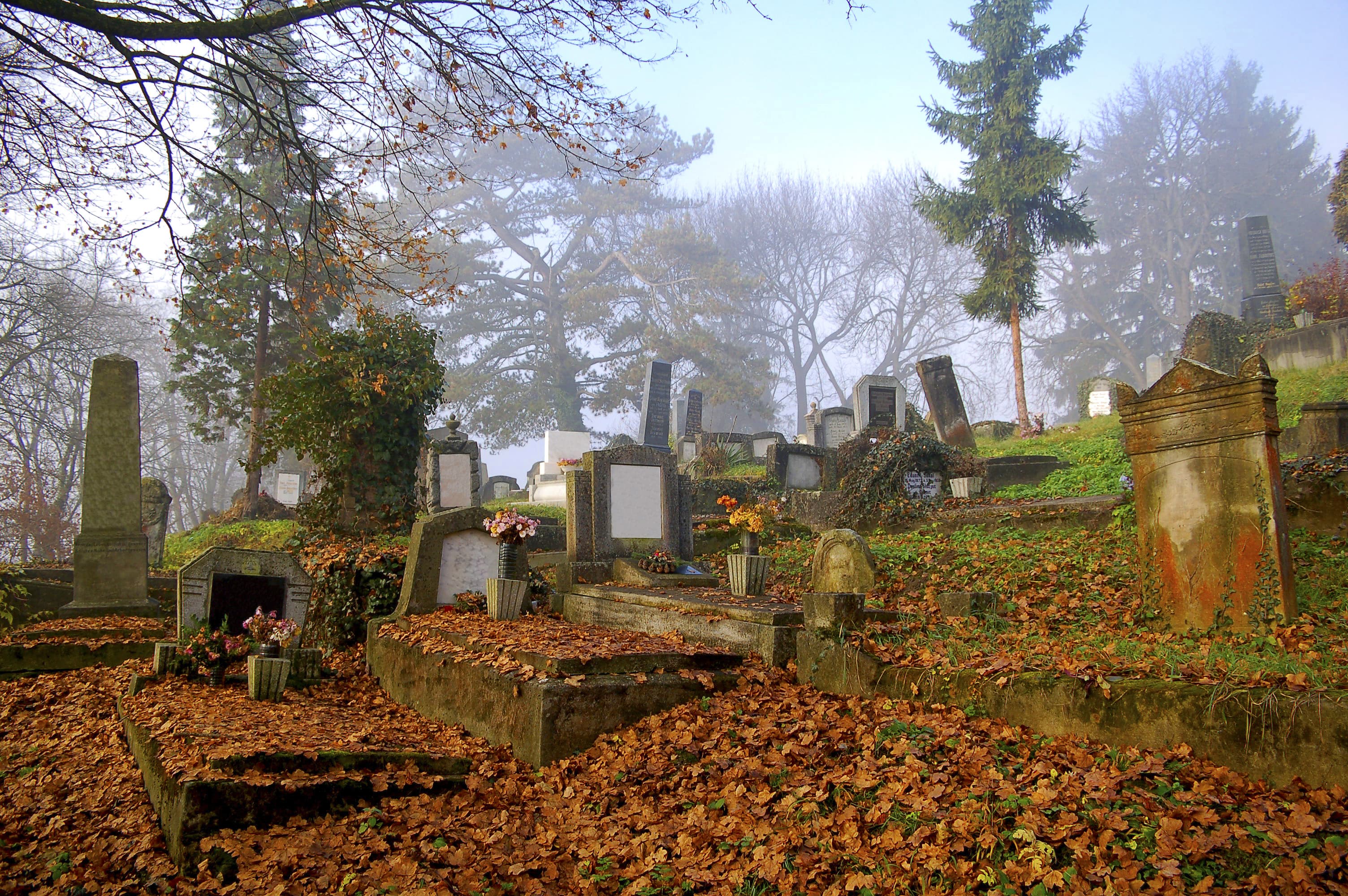 Romania Photo of the Day by Dreamstime: The Cemetery of the Church on the Hill in autumn colors