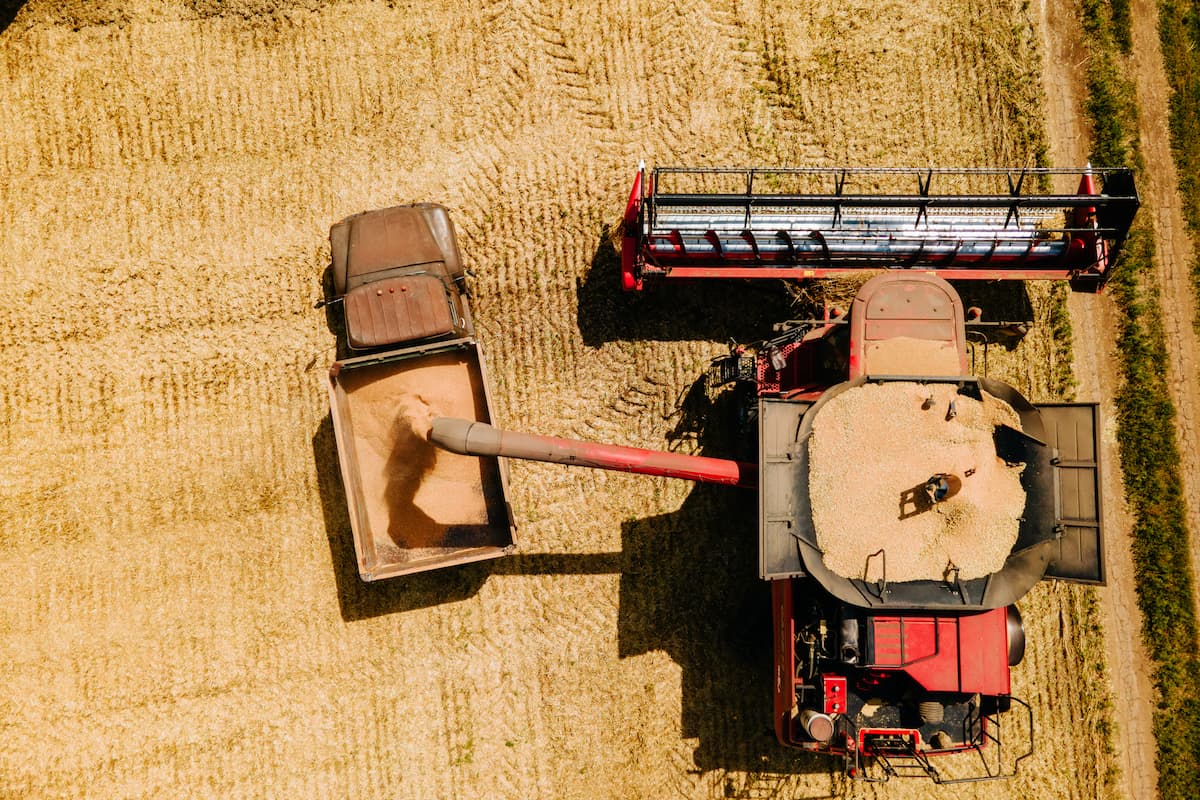 Heat wave has limited impact on Romania’s crops