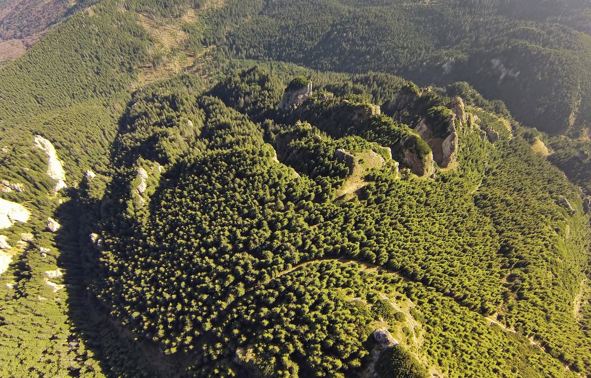 Romania completes PNRR-backed integrated digital system for forest monitoring, ministry says