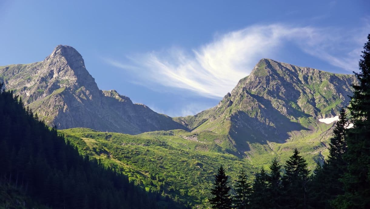'An advantage for nature and local communities': Conservation Carpathia eyes vulture return, builds for ecotourism at planned national park in Romania's Făgăraş Mountains