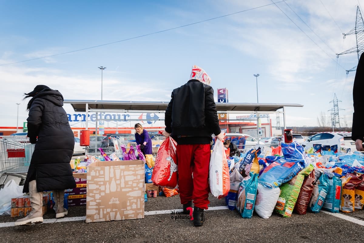 Iași hosts major charity drive for shelter animals this weekend