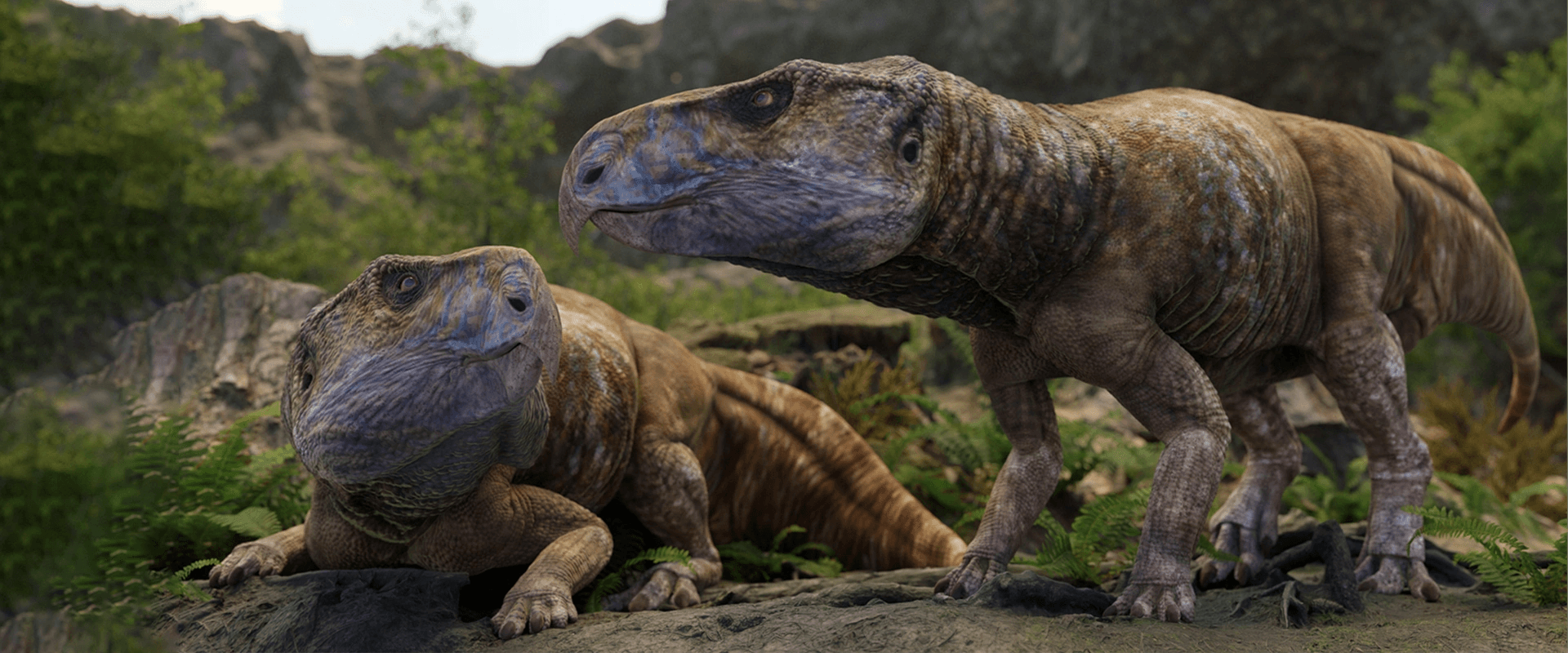 Presence of horned dinosaurs in Europe confirmed by study that included University of Bucharest