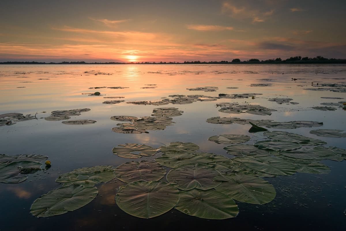 Large-scale Romanian documentary about Danube Delta to premiere at LYNX Festival in Brașov