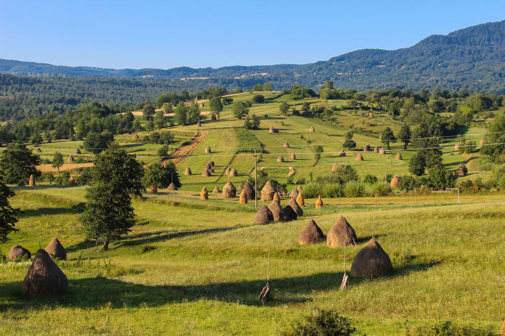 Romanian president greenlights “Life in the Countryside” program promoting rural areas