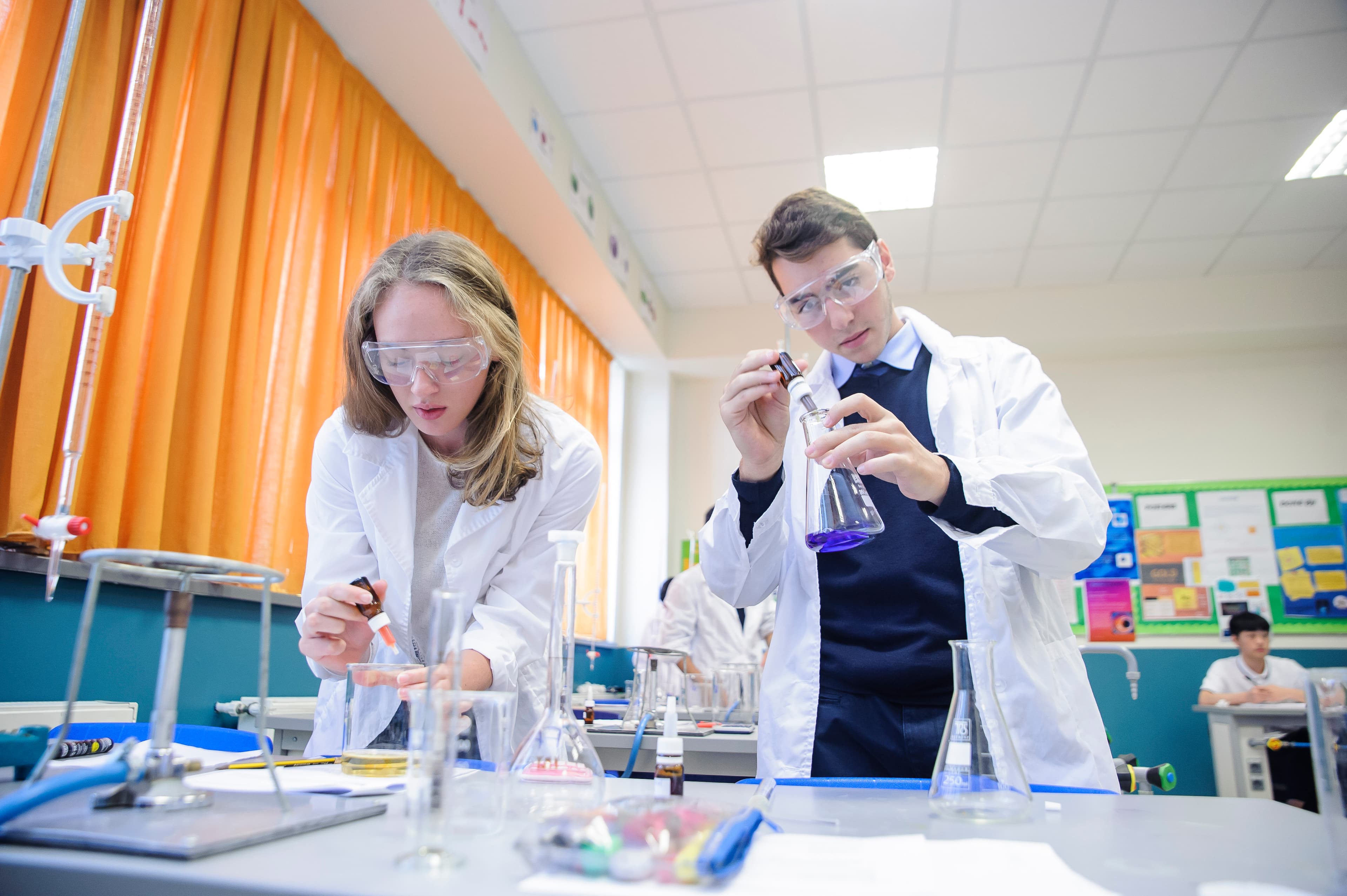 (P) International School of Bucharest grants full and partial scholarships for the school year 2019/2020
