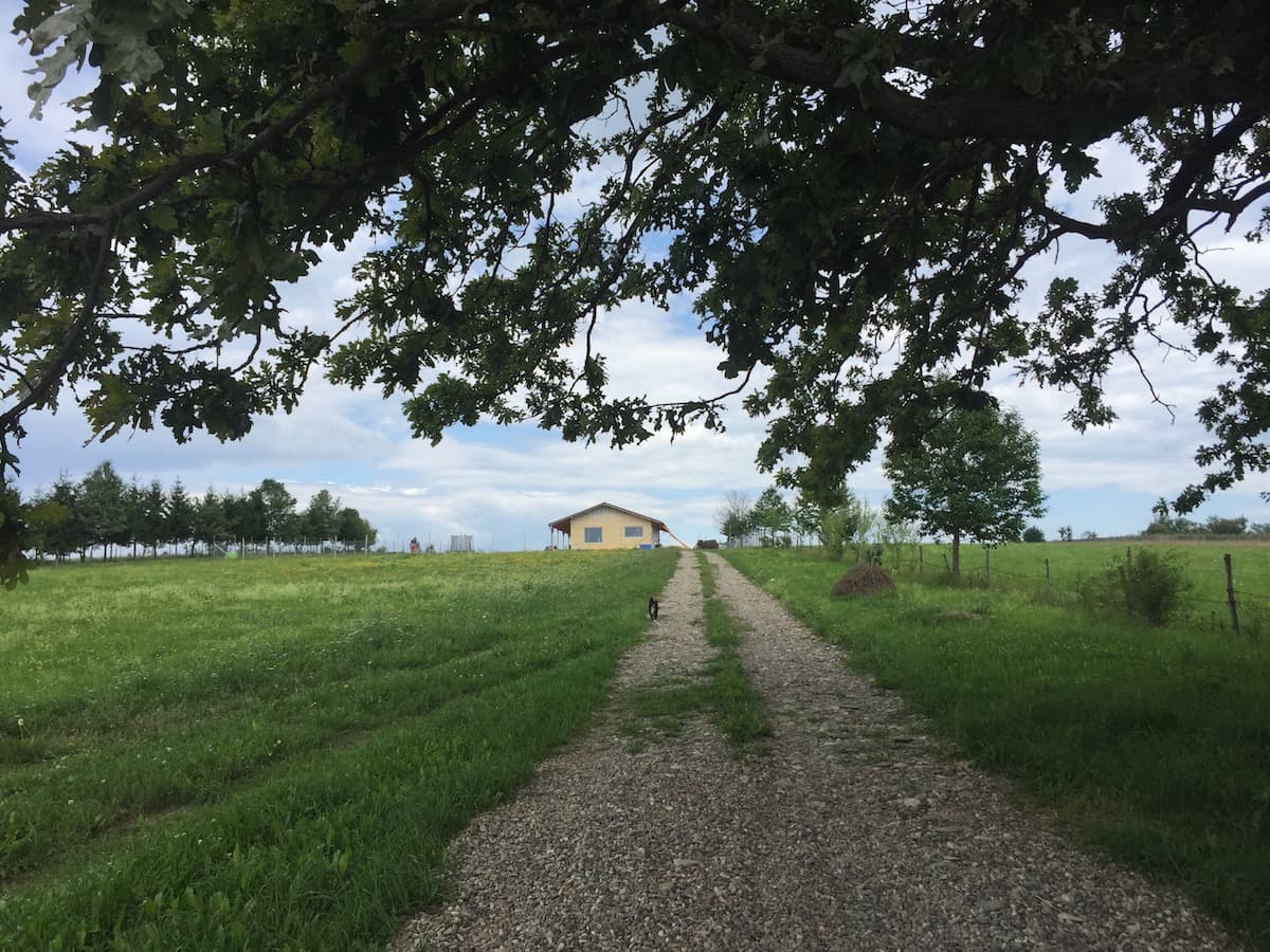 Life in the Romanian countryside: How I left Bucharest to build a house and garden far away