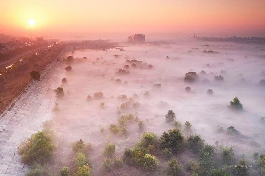 Bucharest’s Vacaresti Lake officially becomes natural park