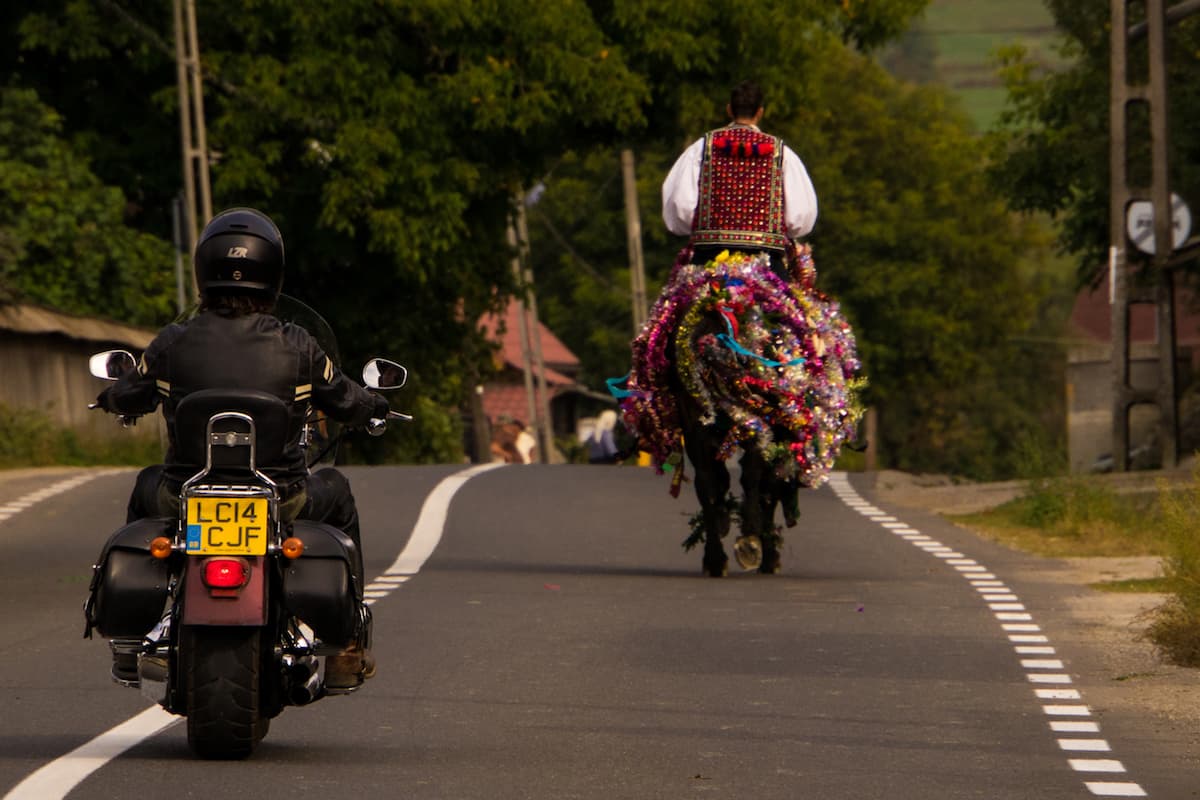 Wild Carpathia & Flavours of Romania producers raise money to send free DVDs to Romanian schools