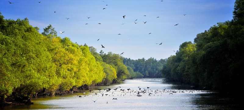 Wild Carpathia producer Charlie Ottley releases documentary about Danube Delta