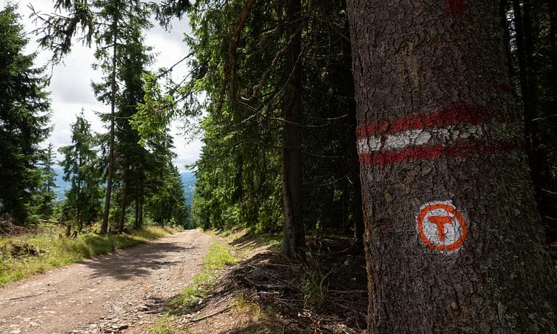 Via Transilvanica: Long-distance trail crossing Romania expands Braşov segment